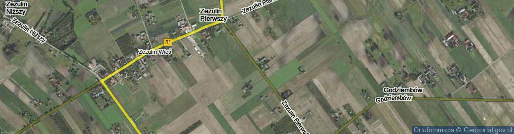 Zdjęcie satelitarne Zezulin Pierwszy ul.